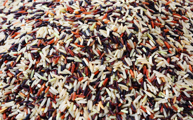 Group of multicolored rice seeds texture background