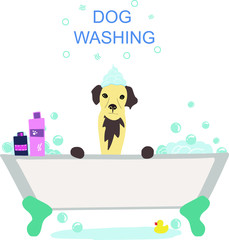 vector illustration of cute dog in the bath with foam and shampoos and handwritten phrase Dog washing