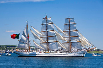 The Sagres sails along the Dartmouth side of Halifax Harbour