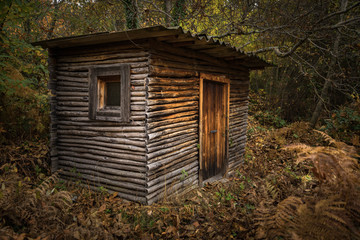 wooden cabin in the middle of nature