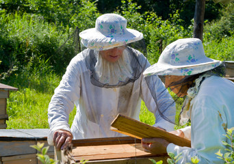 Beekeepers 4