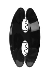 Hair styling accessory for gorgeous hair styles, isolated on white background, clipping path included