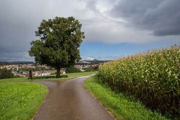 Weg bei Faurndau