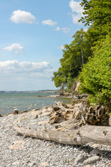 Kreidefelsen auf der Insel Rügen, Ostsee in Deutschland