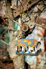 painted wooden house birdhouse on a tree in the garden. Care and feeding of birds.