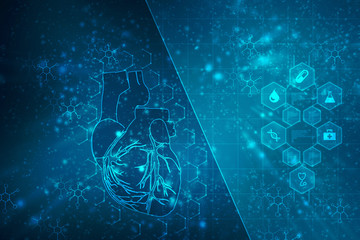 2d illustration  Anatomy of Human Heart 
