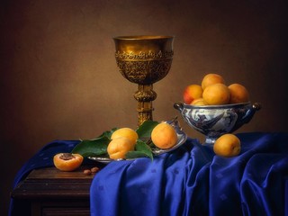 Still life with ripe apricots © Iryna