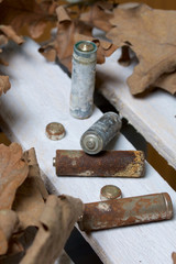 Spent batteries, coated with corrosion. Different shapes and sizes. They lie on a wooden box among the dead autumn leaves. Environmental protection, recycling.