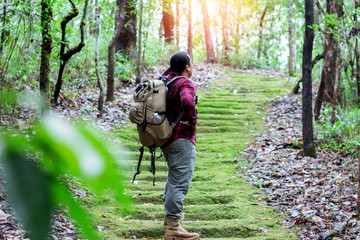Naklejka premium Hiking man with backpack and trekking boots on the bright green moss passage trail in forest