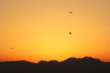 View from Enoshima island to mountain silhouettes with dramatic sunset, Fujisawa, Kanagawa prefecture, Japan