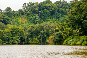 River crossing the jungle in Costa Rica