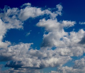 Obraz premium The pillow like white clouds in the bright blue sky.