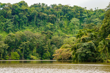River crossing the jungle in Costa Rica