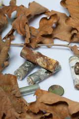 Spent batteries, coated with corrosion. Different shapes and sizes. They lie on a white background among the dead autumn leaves. Environmental protection, recycling.