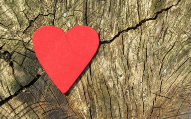 Cuore e Amore