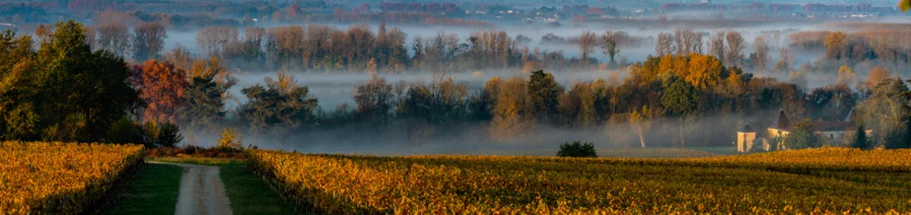 Fotobehang Sunset landscape and smog in bordeaux wineyard france, europe © SpiritProd33