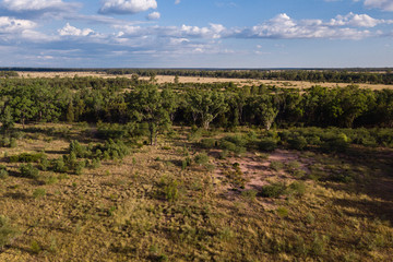 Obraz premium scrubland in western qld