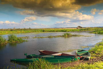 Wiosenna Narew - Podlasie Waniewo  © Wojciech Lisiński