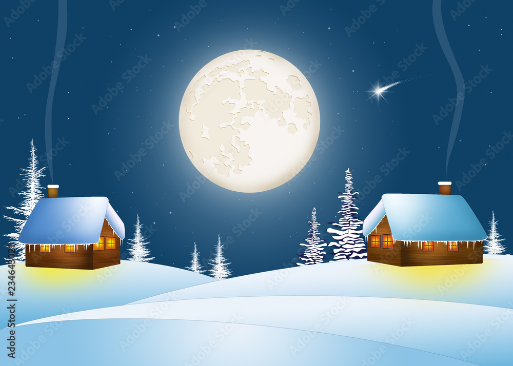 Wall mural winter landscape in the moonlight