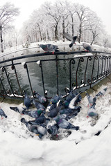 Fototapety na wymiar - Fototapeta24.pl