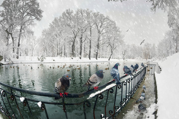 Fototapety na wymiar - Fototapeta24.pl