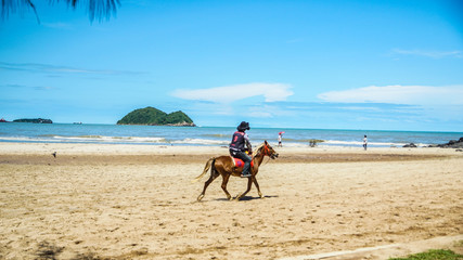 Riding Horse at the Beach