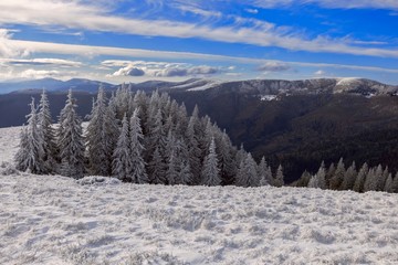 Fototapeta na wymiar Beautiful landscape of majestic mountains in winter. Magical snow covered trees. Carpathian Ukraine. Happy New Year. Landscape of winter Carpathians with snow-covered fir in the foreground