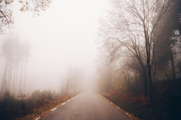 Fototapeta na wymiar Winter Landscape in the foggy mountain