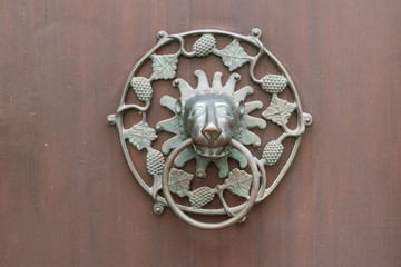 Türklopfer mit Löwenkopf und Ring an einer Haustür