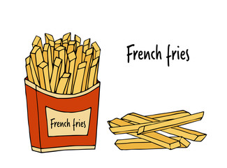 Fried potatoes.  hand drawn vector illustration.  french fries.