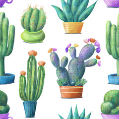 Seamless pattern with cute colorful cacti, tall, round, prickly pear, agave, houseplants in pots, hand drawn illustration on white background. Cute cacti in pots, seamless pattern on white background