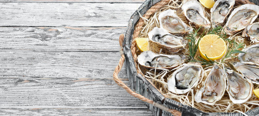 Fresh oysters with lemon in Wooden Box. On a white wooden background. Top view. Free copy space. © Yaruniv-Studio