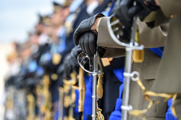 National guard of honor during a military ceremony.