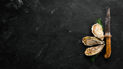 Oysters with ice and lemon on black stone background. Seafood. Top view. Free copy space.
