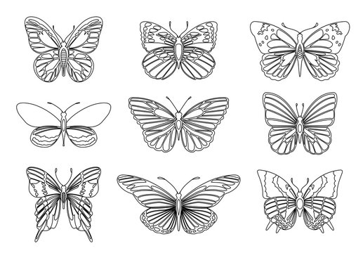 Set of butterflies for design element and adult or kids coloring book page. Vector illustration.