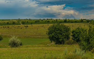Obraz premium Rural landscape.