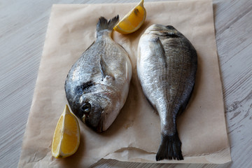 Fresh dorado fish with lemon on baking sheet over white wooden background, side view. Close-up.