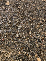 Multi-colored pebble on the seashore in transparent water