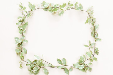 Top view and flat lay of green leaves frame on white pink backgr