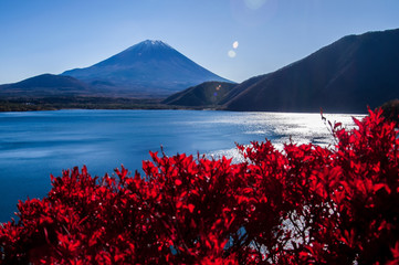 日本、世界遺産、富士山の絶景、秋、本栖湖、富士五湖