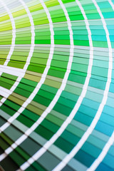 bright color palette