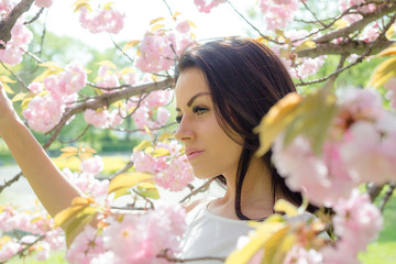 Fototapeta premium Attractive brunette woman in light dress looking at camera while posing near flowering tree