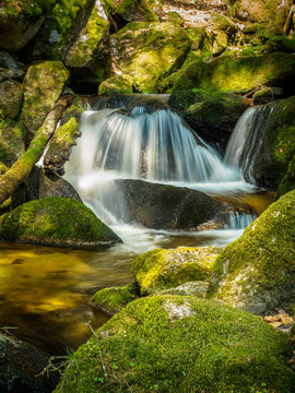 Spring in the Ysperklamm in Yspertal Lower Austria
