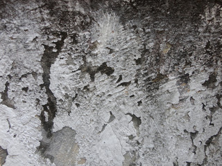 Wall texture background