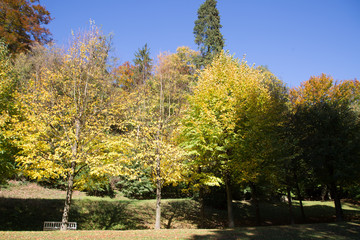 herbstliche Stimmung im Wald