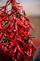 Fototapeta premium rote Chilie Schoten