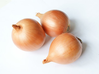Лук репчатый