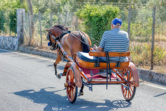 Un cavaliere al trotto con il suo calesse