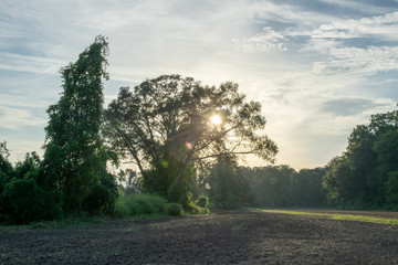 afternoon at an Avoyelles Parish farm