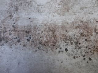 Wall texture background